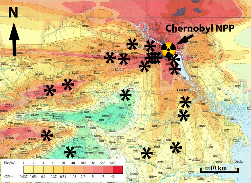 Los niveles de radiación en la zona de Chernóbil varían mucho según la ubicación. Imagen: Oecologia. Fuente: Universidad de Carolina del Sur.