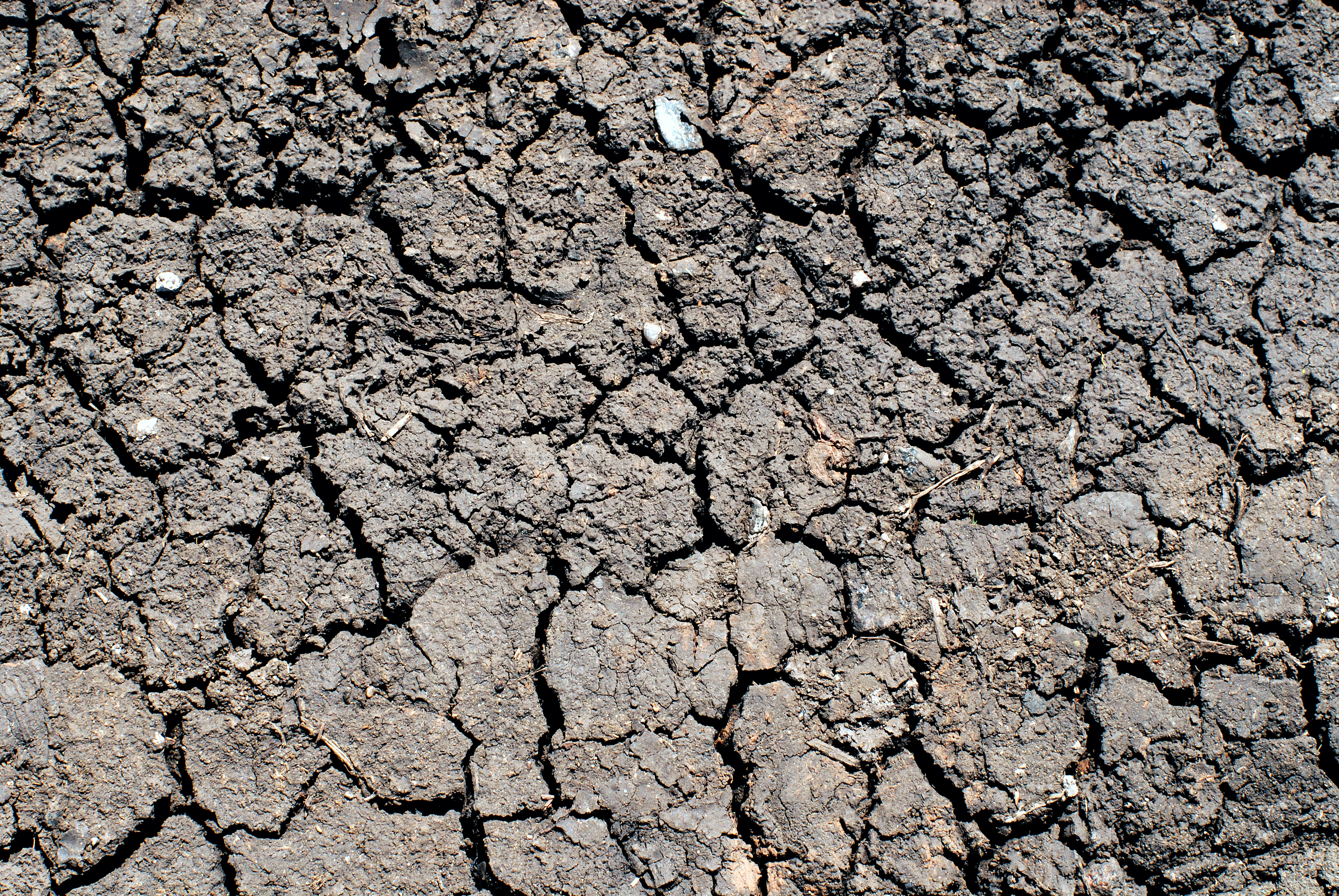 La sequía también supondría un gran problema en Europa en 2080 si no se frena el cambio climático, al alcanzar a unos 700.000 km2 por año –más que la superficie total de España–. Afectará a 140 millones de personas al año, alerta el estudio del JRC. Imagen: Aliaksandr Zabudzko. Fuente: PhotoXpress.