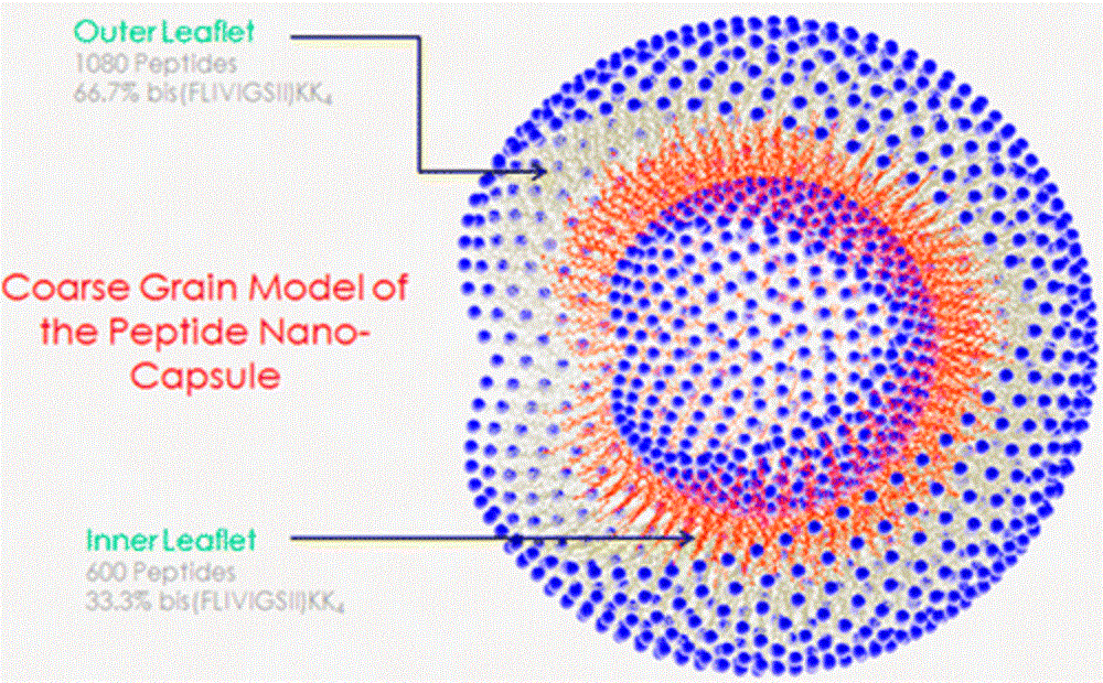 Nanocápsula similar a una burbuja. Imagen: John Tomich. Fuente: Kansas State University.