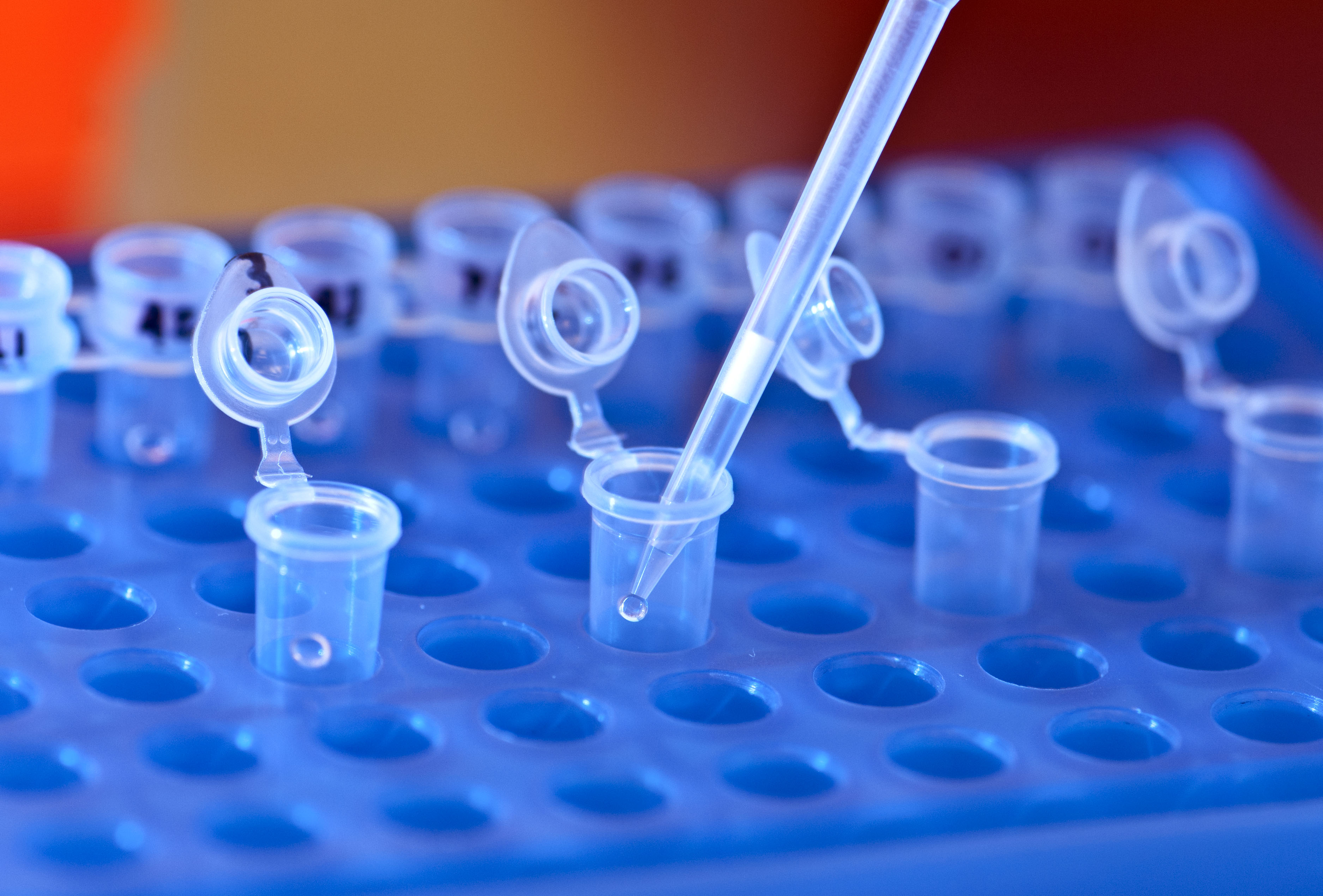 La nueva prueba genética pretende reducir en 100 órdenes de magnitud el riesgo de enfermedades hereditarias. Imagen: snre. Fuente: Flickr.