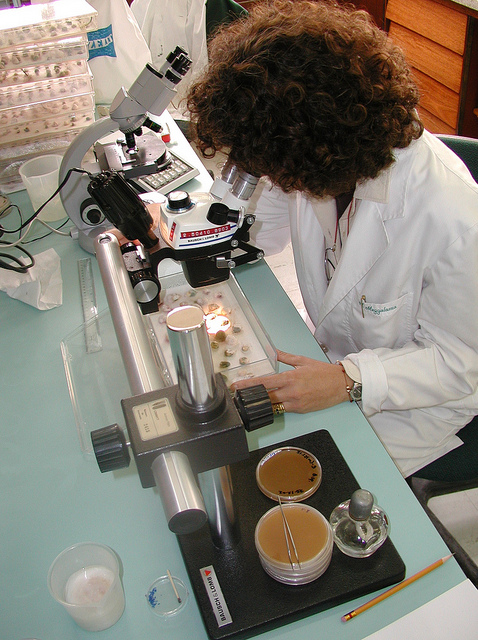 Los recortes en ciencia e investigación en España han llevado a muchos científicos a abandonar el país. Fuente: flicker. com.