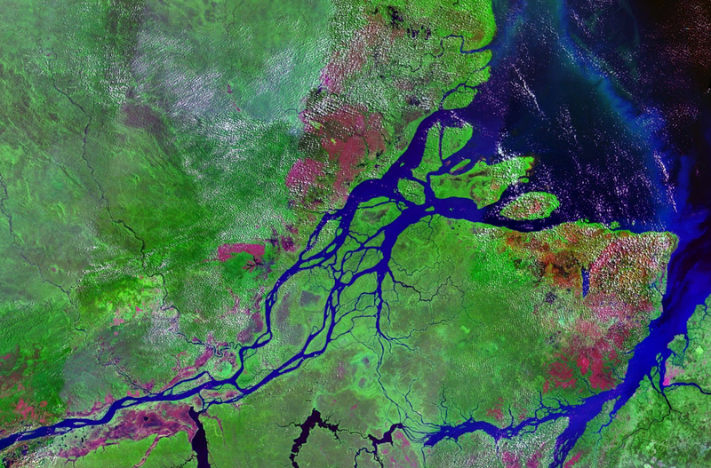 Desembocadura del Amazonas a vista de satélite. Fuente: NASA.