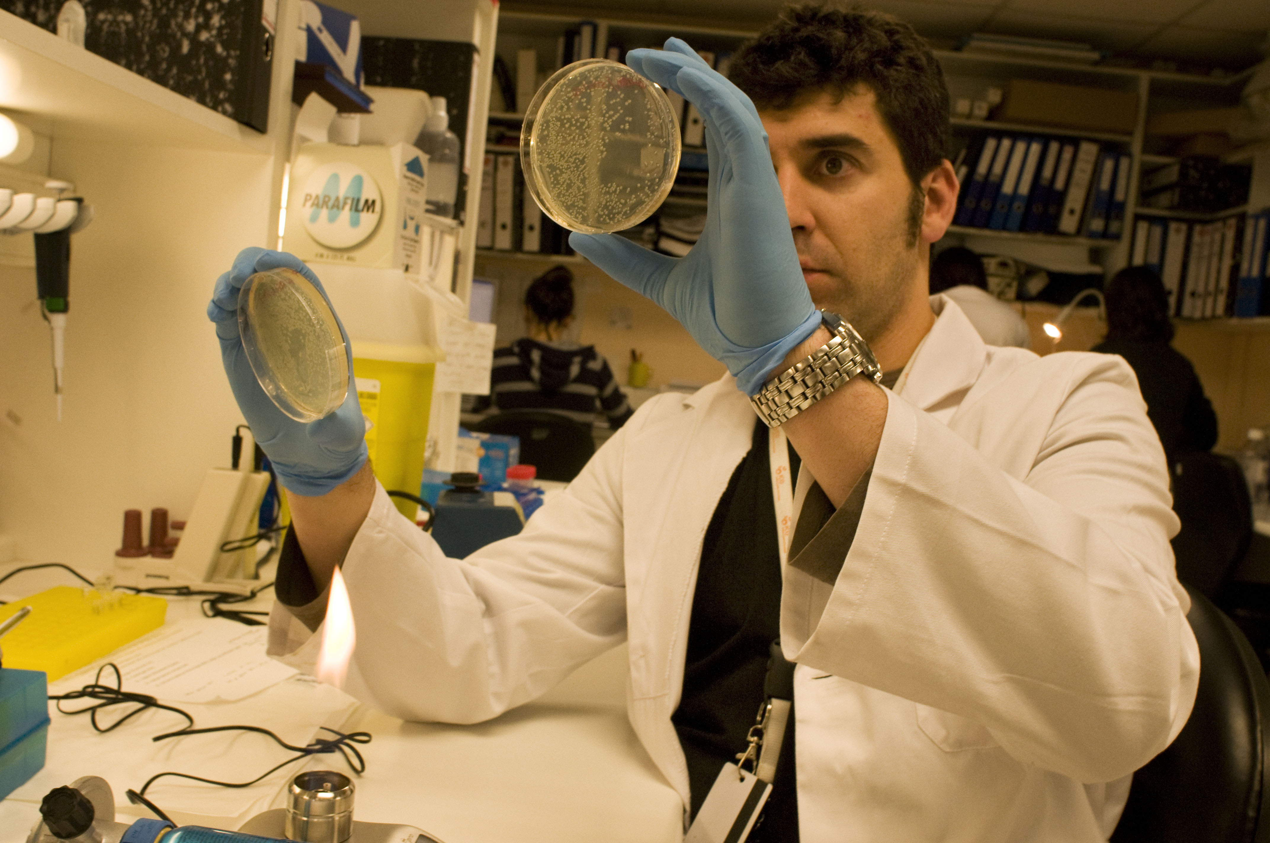 El investigador Alvaro Aytes El investigador Alvaro Aytes. Fuente: Idibell.