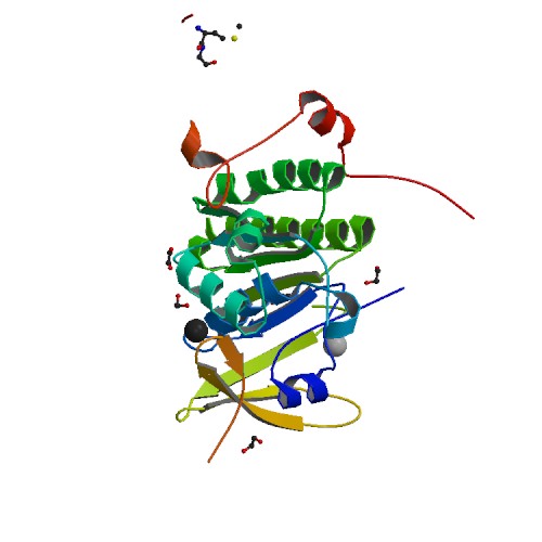 Proteína BRCA2, codificada por el gen homónimo. Fuente: Wikipedia.