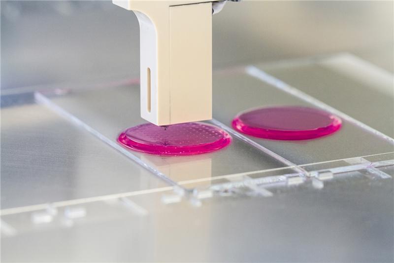 En investigaciones previas ya se habían usado impresoras de inyección para imprimir suspensiones de células en hidrogeles. Imagen: © Fraunhofer IGB.