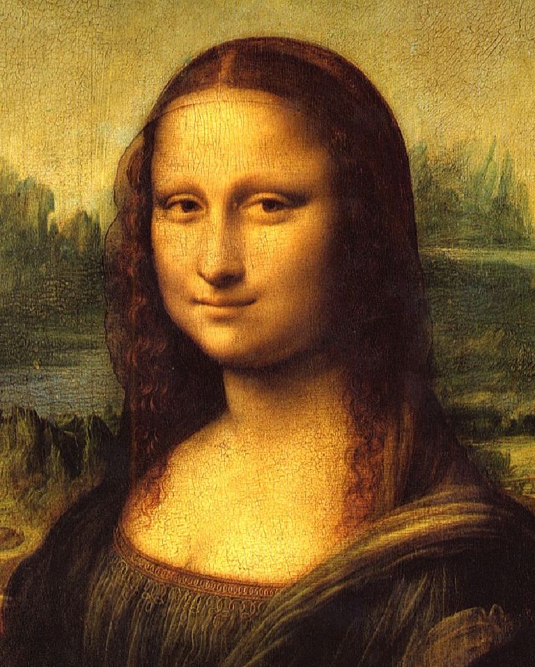 Retrato de una cara humana (Mona Lisa, de Leonardo da Vinci). Fuente: Wikipedia.