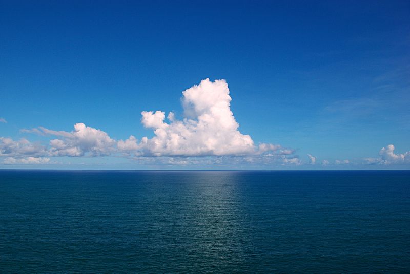 El incremento de CO2 en la atmósfera se ve amortiguado gracias a la absorción de este gas por los océanos, pero estos pagan un alto tributo por ello. En la foto, océano Atlántico en las costas de Brasil. Imagen: Tiago Fioreze. Fuente: Wikipedia.