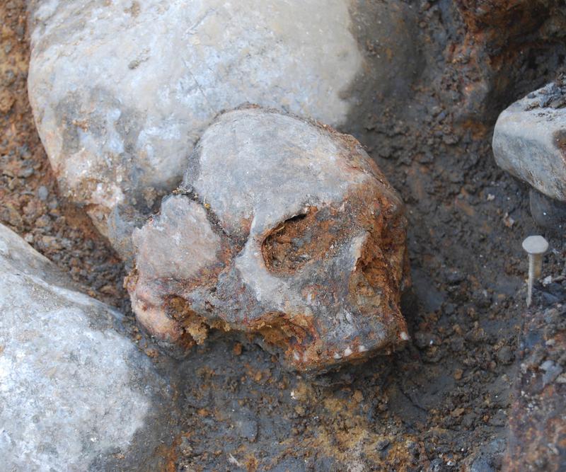 Cráneo de mujer del yacimiento de Kanaljorden en Motala (Suecia), excavado entre 2009 y 2013. Imagen: Fredrik Hallgren. Fuente: UPF.