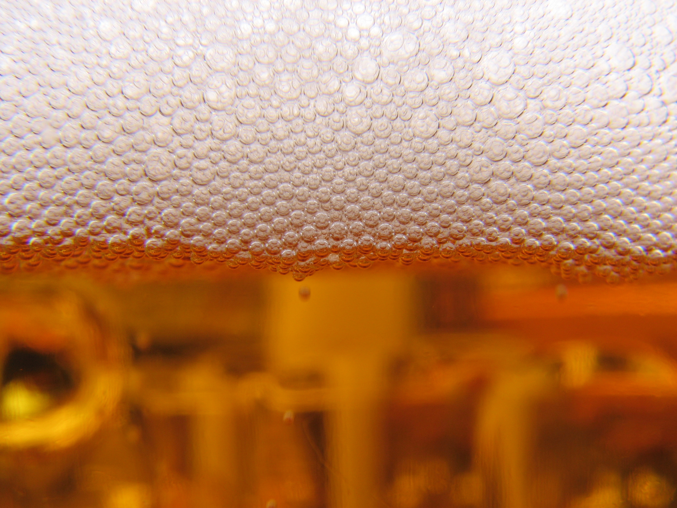 Burbujas de cerveza, la bebida amarga por excelencia. Imagen: mainrc. Fuente: FreeImages.