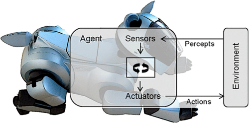 Esquema del funcionamiento de un robot: los sensores le permiten recibir estímulos del entorno, ante los que reacciona mediante los actuadores (brazos o patas robóticas, por ejemplo). Fuente: Physical Review X.