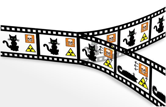 La paradoja cuántica del "gato de Schrödinger" vista desde el punto de vista de la interpretación de los universos múltiples. Imagen: Christian Schirm. Fuente: Wikipedia.