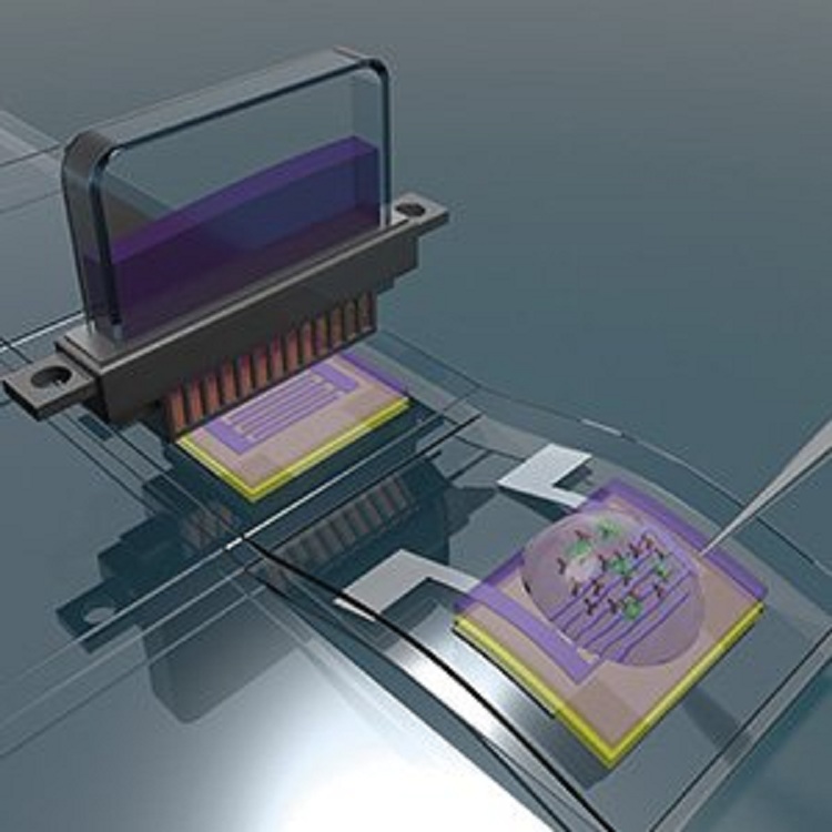 Biotransistor flexible fabricado principalmente mediante el uso de la tecnología de impresión de inyección de tinta y que podría servir para la detección de proteínas. Fuente: ICN2.