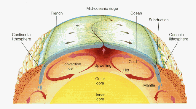 Diagrama de la tectónica de placas, que emite rocas a la superficie, y que podría estar emitiendo también agua a los océanos. Fuente: Ohio State University.