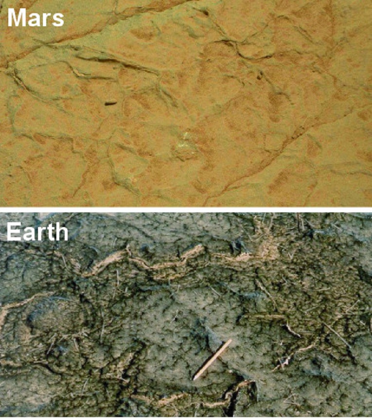 Comparación de las grietas del lago Gillespie de Marte con las de un tapete microbiano de Bahar Alwan, en Túnez. Imágenes: NASA y Nora Noffke. Fuente: Astrobiology.