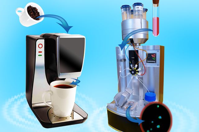 El dispositivo, desarrollado en la UCLA, permite a los científicos controlar la temperatura de la sangre – de la misma manera que se controla la del café en una cafetera-  para capturar y liberar las células cancerosas en condiciones óptimas. Fuente: UCLA.