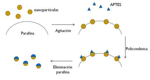 Esquema del proceso de asimetrización de las partículas. Fuente: UPM.