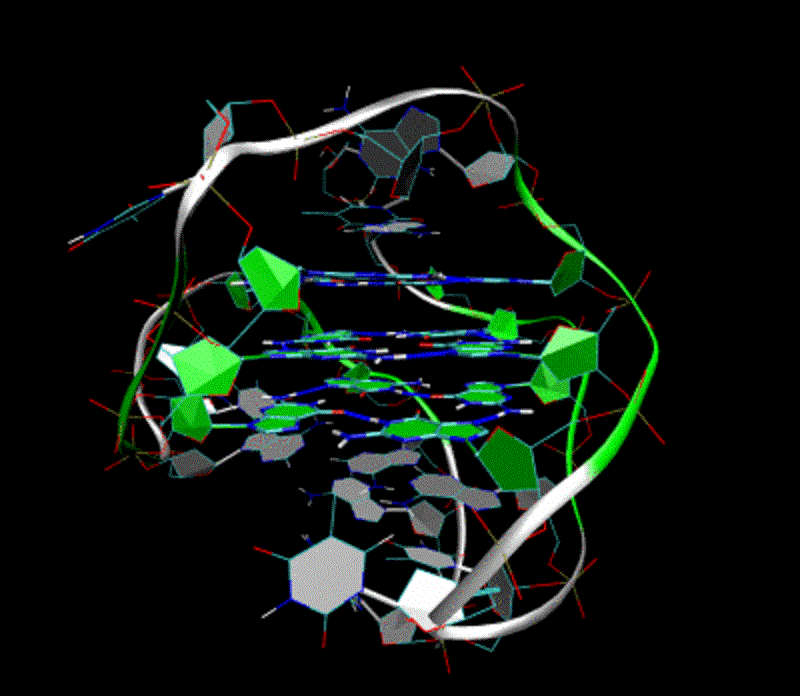 Representación en 3-D de un telómero. Imagen: Giac83. Fuente: Wikipedia.