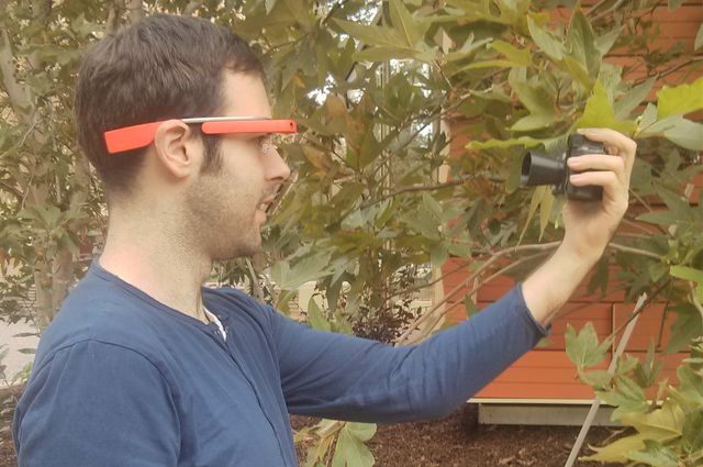 Un investigador, con las Google Glass y el dispositivo de iluminación, analizando una hoja. Fuente: UCLA.