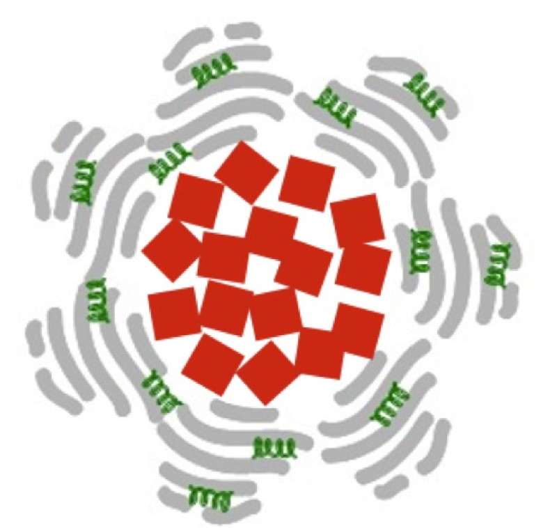 Cada nanopartícula está compuesta de un núcleo de óxido de hierro (cuadrados rojos) rodeado de albúmina (en gris) y del medicamento (tPA, en verde) que debe liberar. Fuente: Laboratorio de Paolo Decuzzi.
