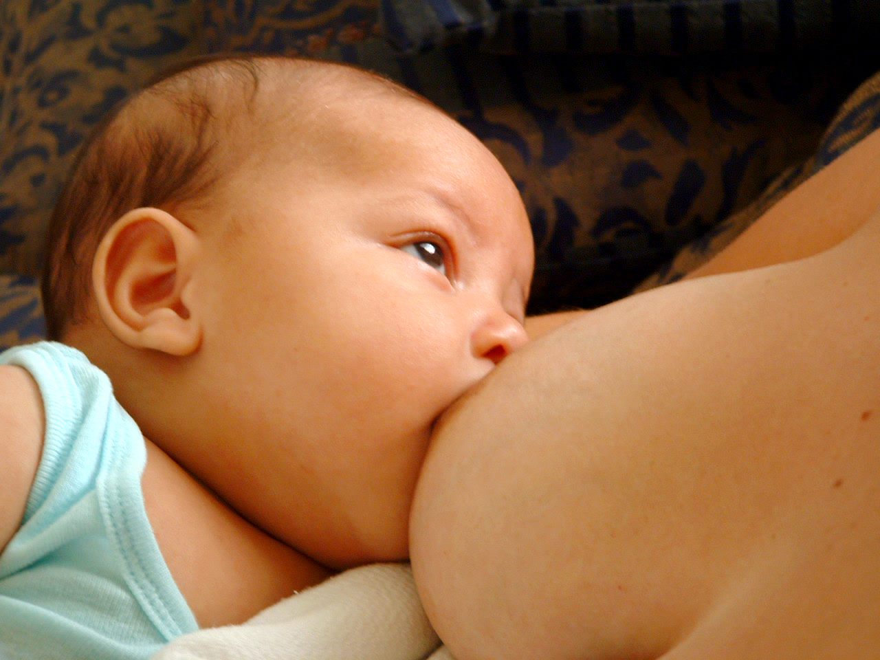 Las lactancias largas potencian el CI de los niños. Imagen: Carin. Fuente: FreeImages.