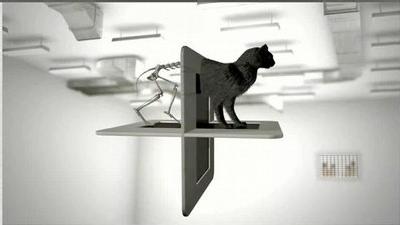 Creatividad sobre el gato de Schödinger de Eatdrink.