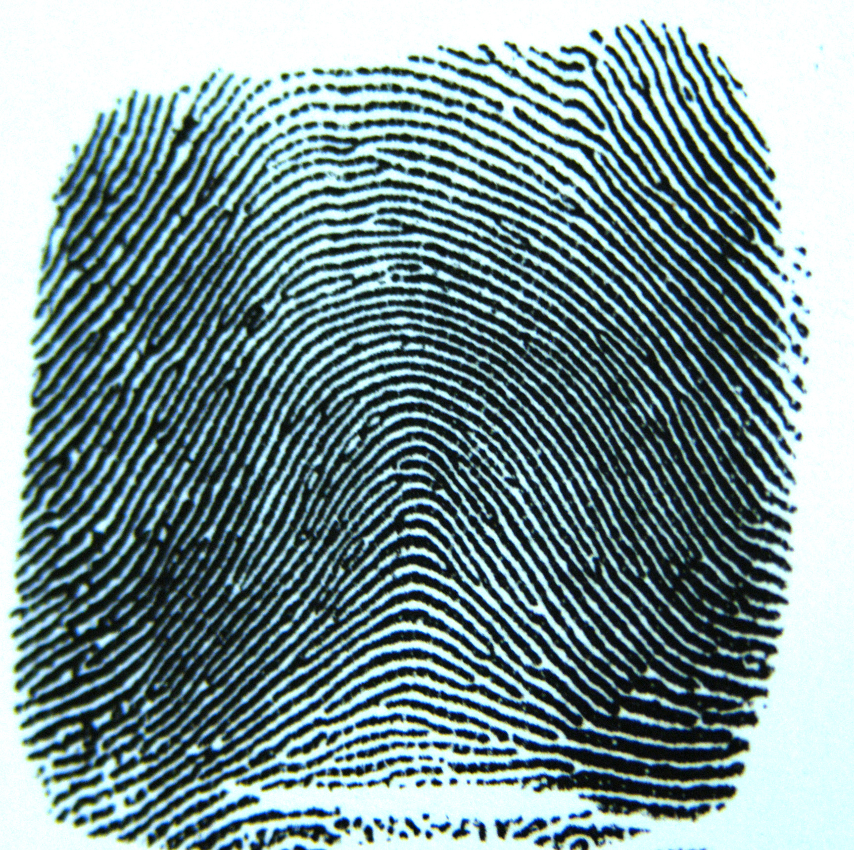 Imagen: Kevin Chesson. Fuente: PhotoXpress.