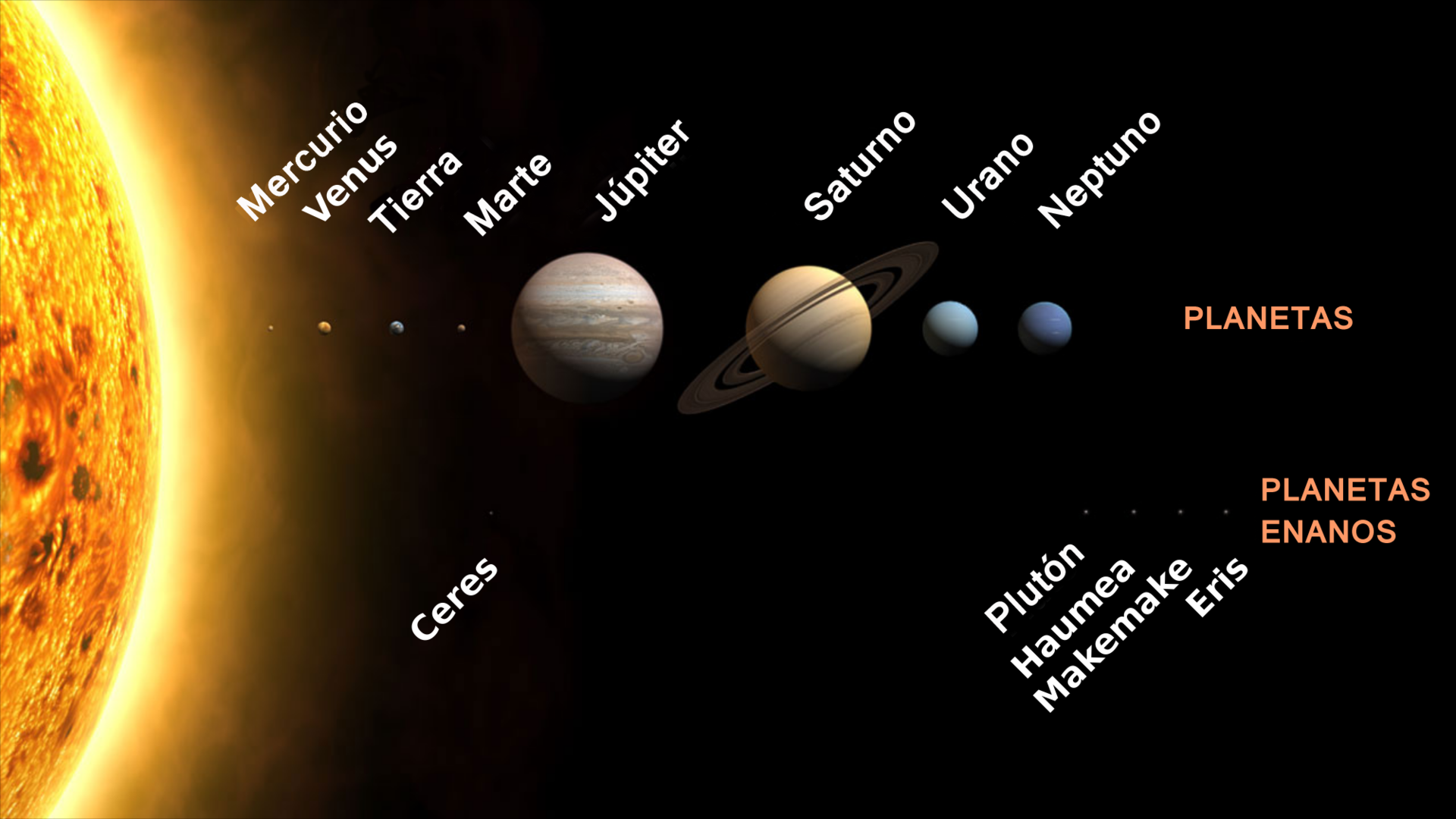 Planetas y planetas enanos del Sistema Solar. Imagen: Farry.