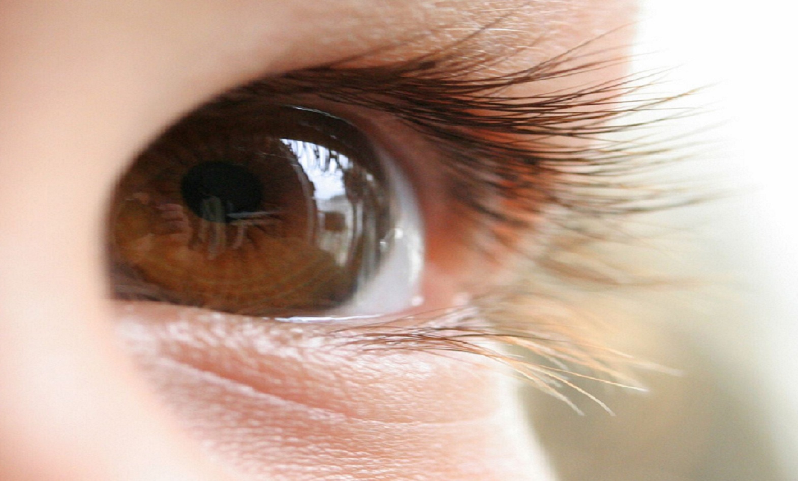 Los ojos realizan movimientos muy pequeños y muy rápidos para ver. Imagen: peasap. Fuente: Flickr.