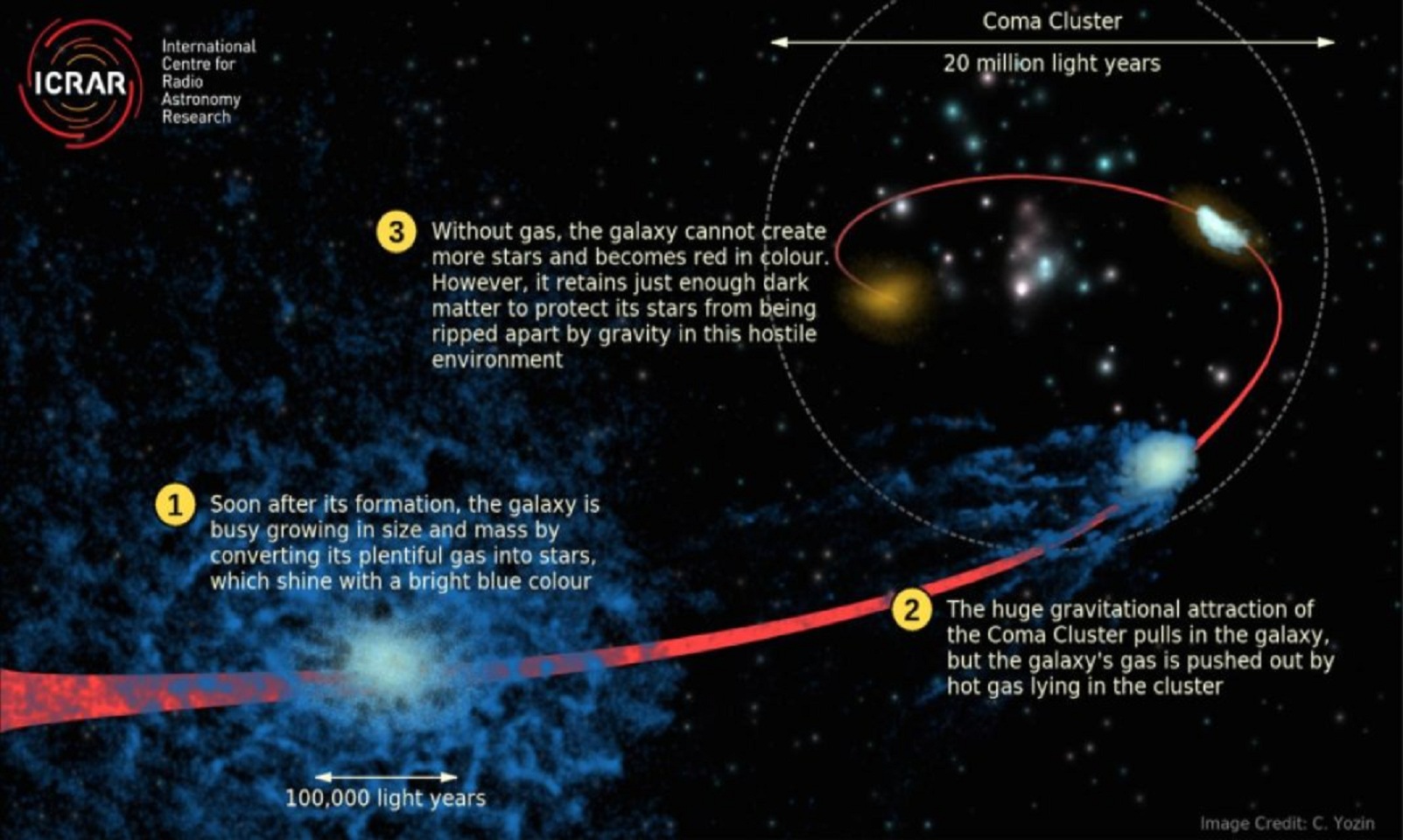 Una galaxia sufre el proceso de enfriamiento al pasar a formar parte del Cúmulo de Coma (recreación artística). Imagen: Cameron Yozin. Fuente: ICRAR/UWA