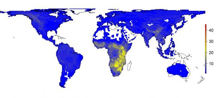 La distribución actual de los grandes mamíferos muestra una diversidad mucho menor de la que sería natural, con la mayoría de ellos confinados en África. Imagen: Soren Faurby.