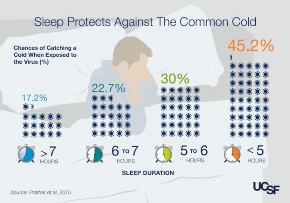 Cuanto más se duerme, menos riesgo hay de coger el resfriado. Imagen: Prather et al. Fuente: UCSF.