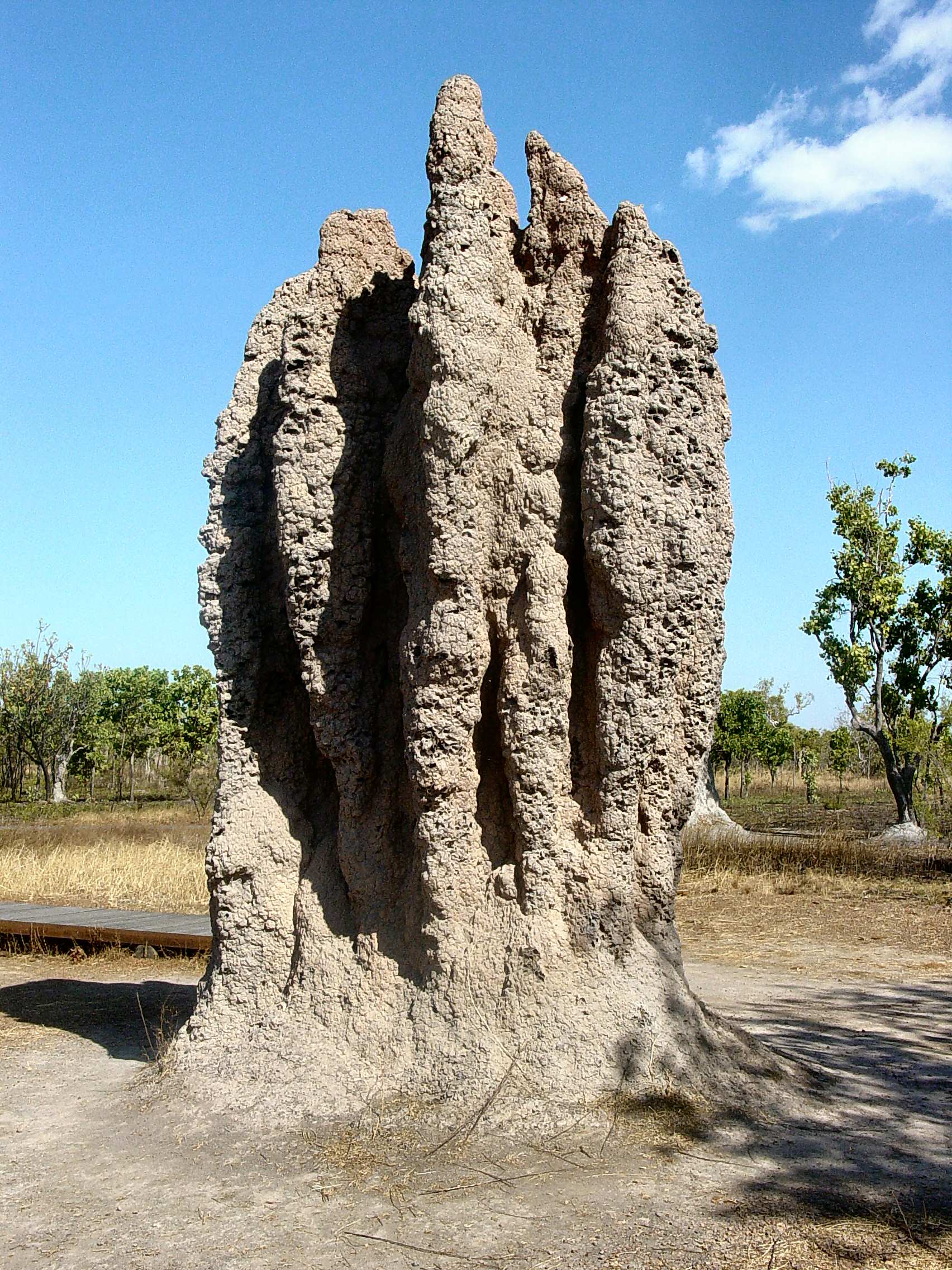Imagen de un termitero/ “Termite Cathedral DSC03570”. Imagen: Yewenyi. Fuente: Disponible bajo la licencia CC BY-SA 3.0 vía Wikimedia Commons.