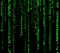 Lluvia digital que aparece en la película “The Matrix”. Imagen: Jamie Zawinski. Fuente: Disponible bajo la licencia Attribution vía Wikimedia Commons.