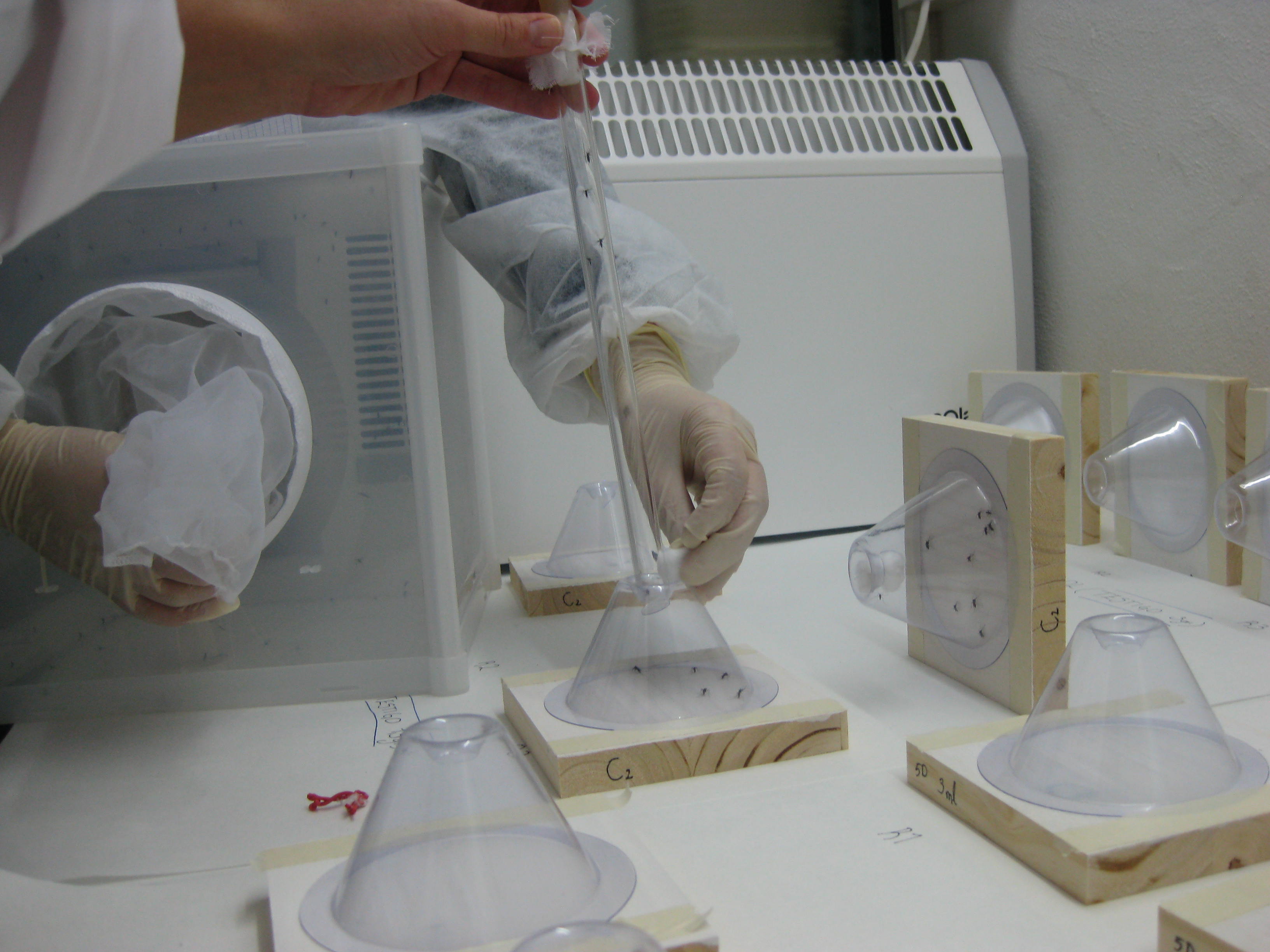 Estudios de la tecnología Inesfly en el laboratorio de Veterinaria de la Universidad de Zaragoza. Fuente: UniZar.