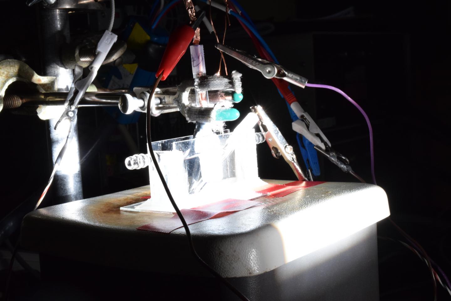 Célula de fotoelectrólisis de cobalto, fósforo y azufre del laboratorio de Song Jin, alimentada con luz solar. Imagen: David Tenenbaum. Fuente: Universidad de Wisconsin-Madison.