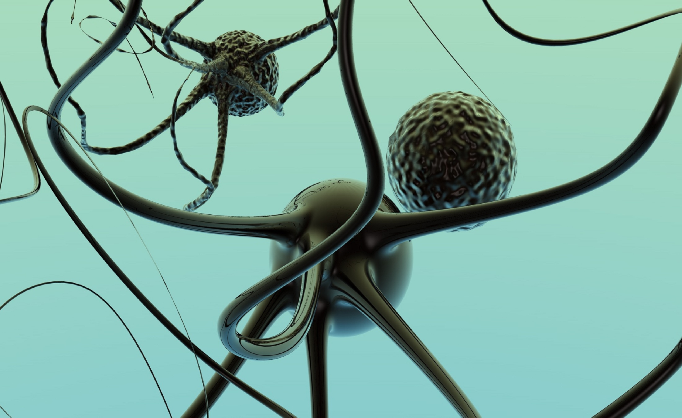 Los científicos han encontrado la estructura de las neuronas en el cerebro usando métodos matemáticos. Imagen: Maciej Urbanek. Fuente: FreeImages.