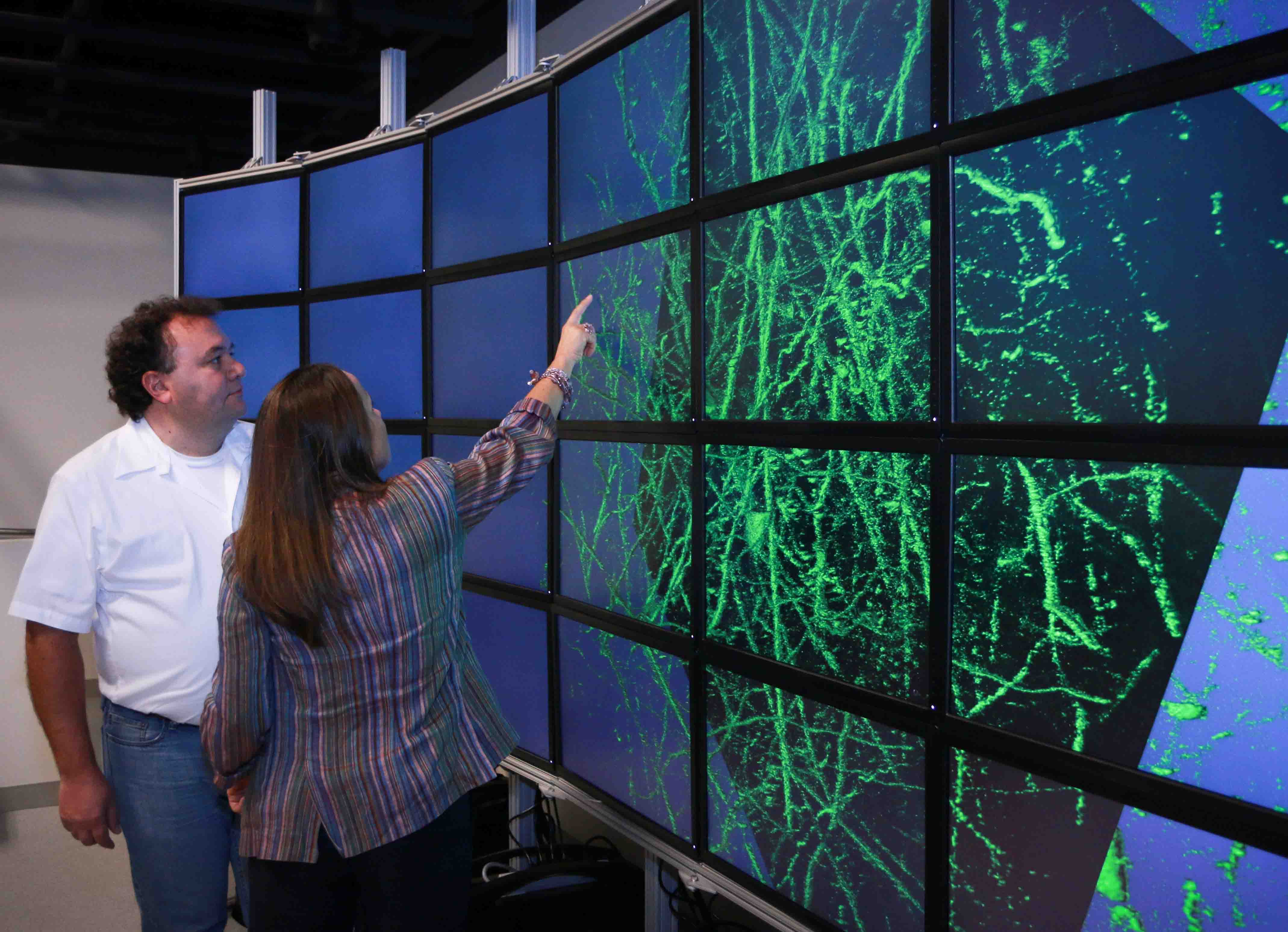 Alessandra Angelucci y Valerio Pascucci muestran las imágenes creadas con su software. Fuente: Universidad de Utah