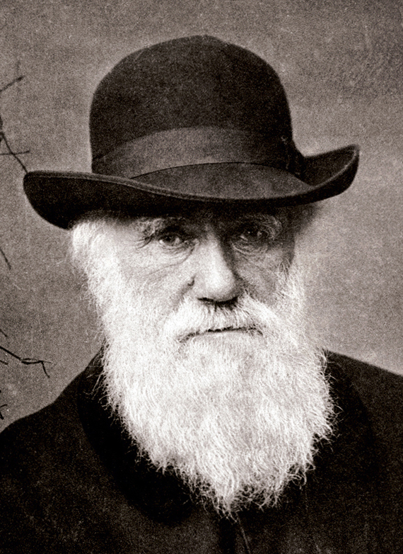 Charles Darwin en 1880, de Elliott & Fry. Imagen: Flickr (de segunda versión). Fuente:   Disponible bajo la licencia Dominio público vía Wikimedia Commons.