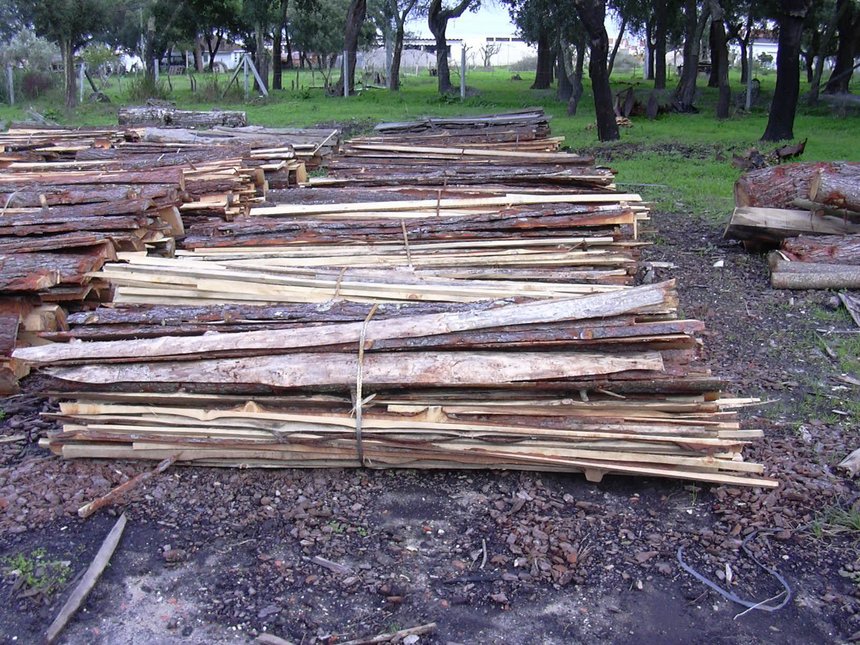 ECHAINE, Energy wood production chains in Europe, ENK5-CT2002-00623, http://www.echaine.org.