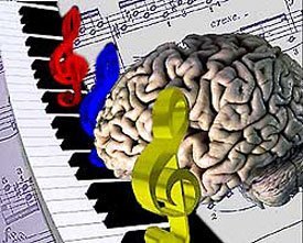 La capacidad musical se desarrolla con la experiencia y no es genética