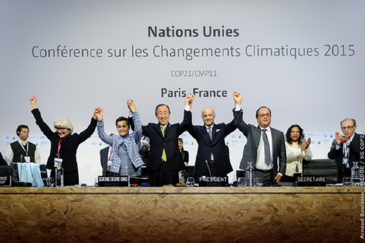 El plenario rompe en aplausos el pasado 12 de diciembre de 2015, tras la aprobación del Acuerdo de París. Imagen: COP PARIS. Fuente: Sinc.