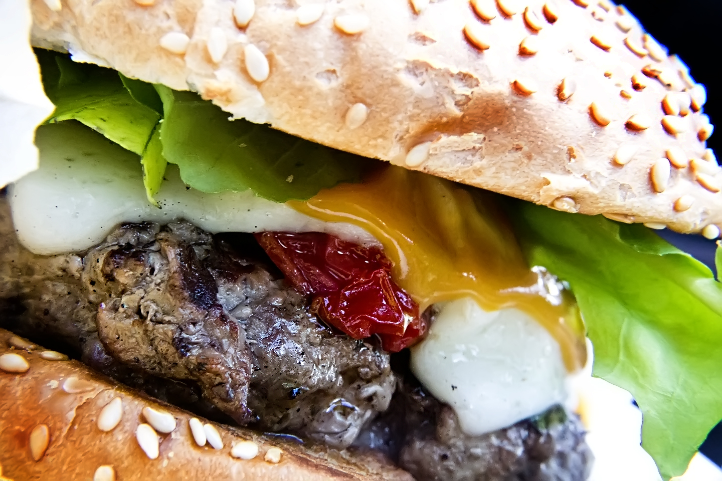 Científicos de la UCM han creado una hamburguesa enriquecida con calcio. Imagen: Antonio Thomás Koenigkam Oliveira. Fuente: Flickr.