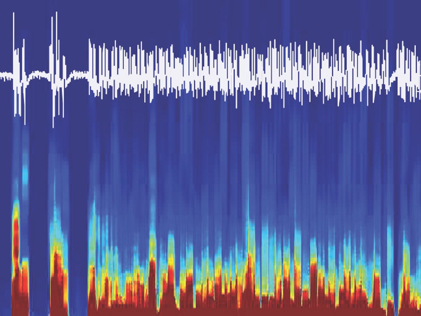 Señales cerebrales EEG registradas de ratón, mientras este se despertaba de la anestesia gracias a la estimulación con optogenética del circuito cerebral encontrado. Fuente: Universidad de Berna.