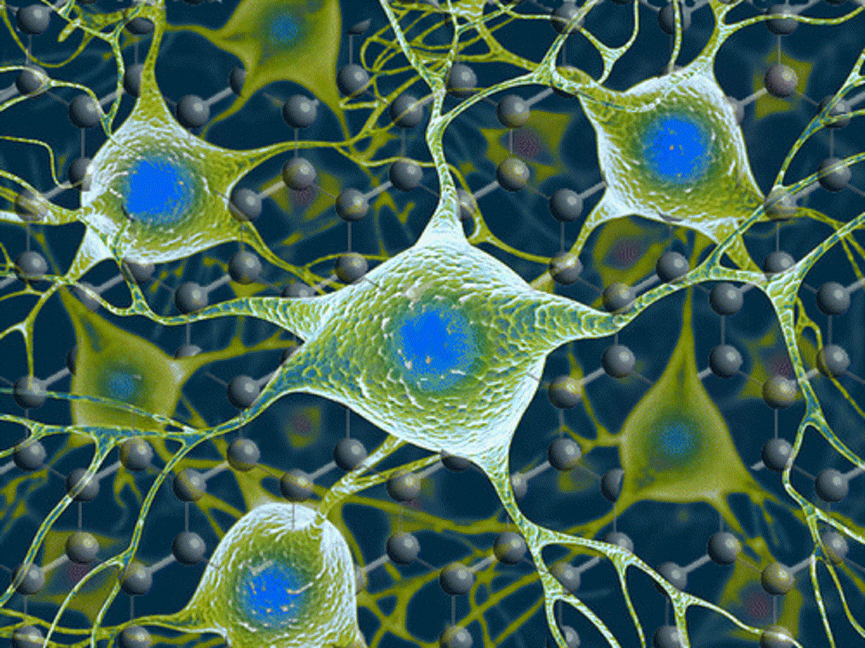 Interfaz grafeno-neuronas. Fuente: Graphene Flagship.