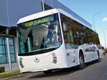 Si el autobús le da urticaria, la culpa podría ser del gen ADGRE2. Fuente: IBV.