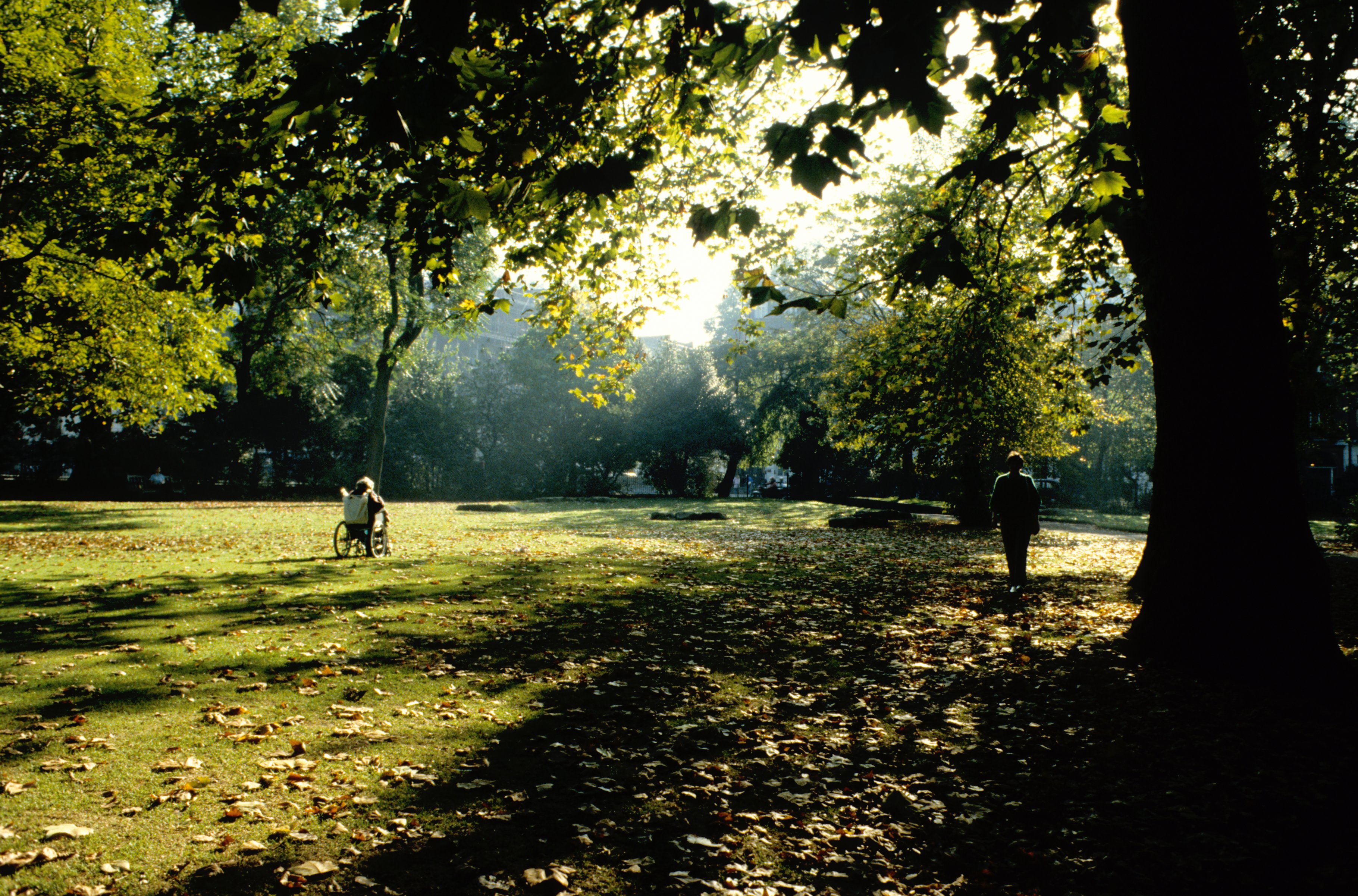 Russell Square, Londres, uno de los espacios verdes analizados en el estudio. Fuente:  Forestry Commission.