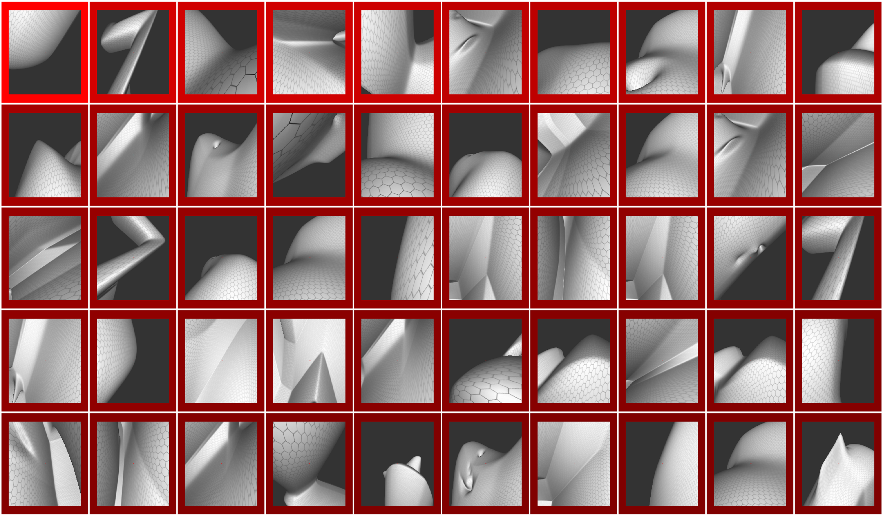 Imágenes que muestran estímulos para las neuronas especializadas en objetos, y que reconocen la gravedad. Muestran una inclinación a la izquierda. Fuente: Universidad Johns Hopkins.