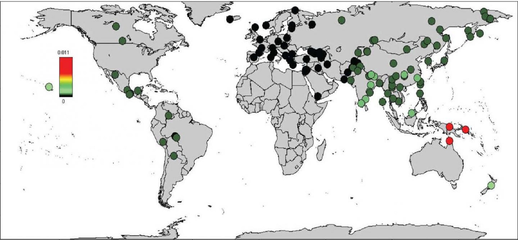 Proporción de genoma denisovano en no-africanos. Imagen: Sankaraman et al. Fuente: Current Biology.