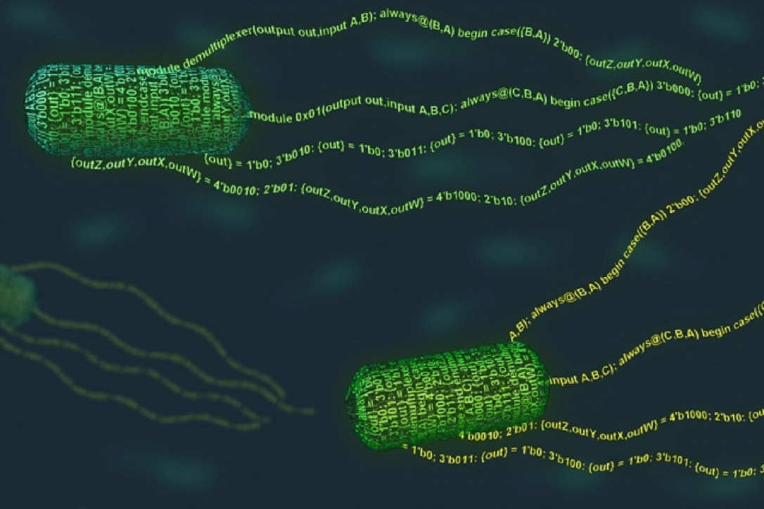 El lenguaje crea nuevas funciones para la bacteria 'E. coli'. Imagen: Janet Iwasa. Fuente: MIT News.