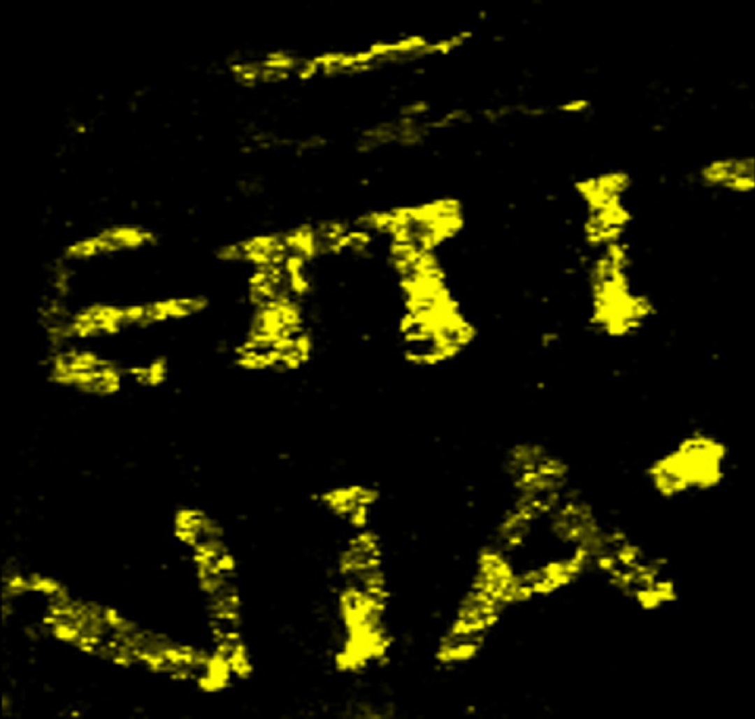 Imágenes por rayos X que revelan la presencia de plomo en la tinta. Imagen: E. Brun. Fuente: ESRF.